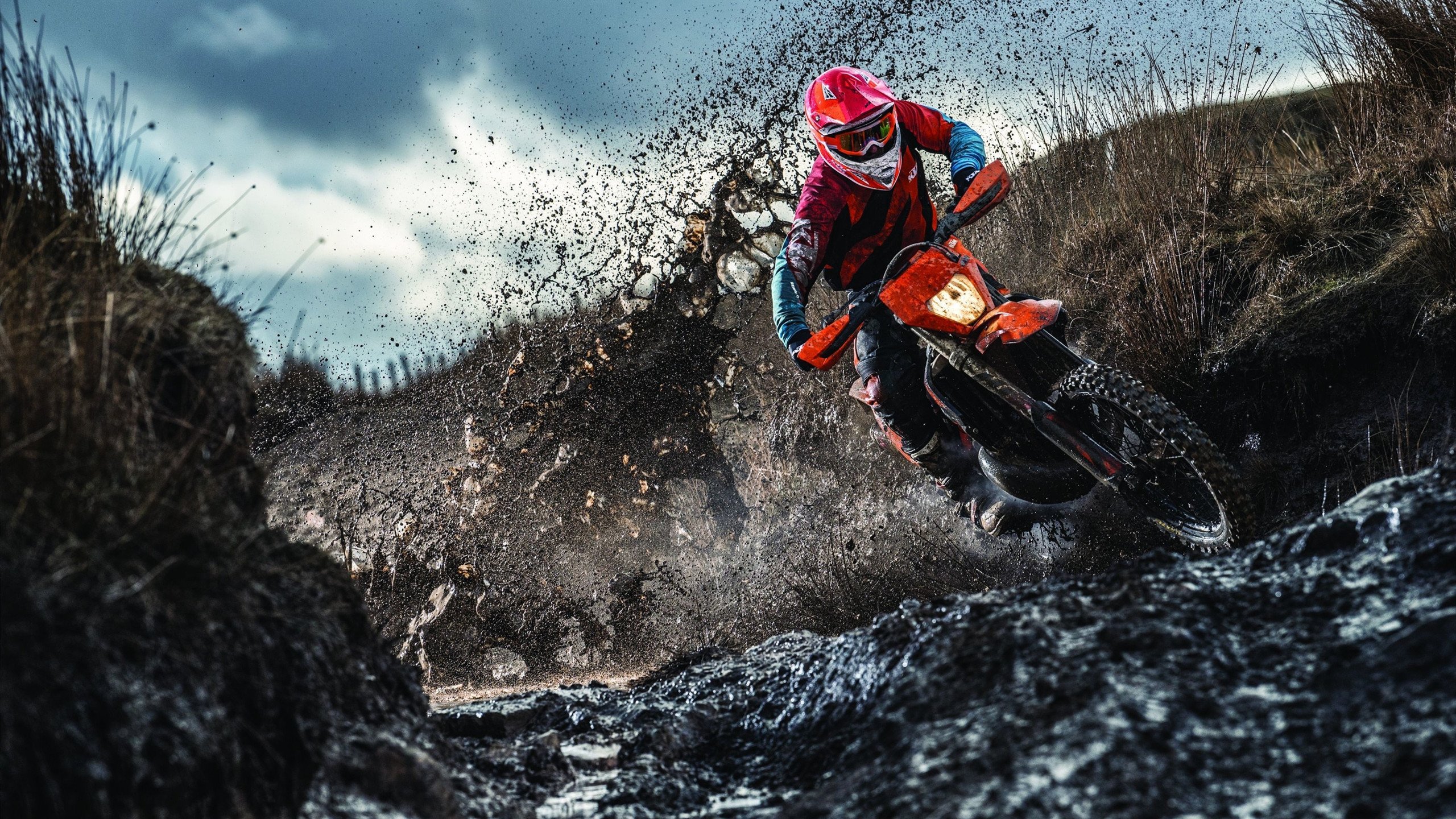 灰熊队再度重建，球队目标明确打造未来，灰熊 队